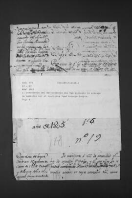 Solicitud de entrega de Caballos, presentada por el Comandante del Destacamento del Apa.