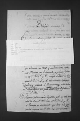 Legajos de Correspondencias oficiales entre Paraguay e Italia, Austria y Cerdeña.